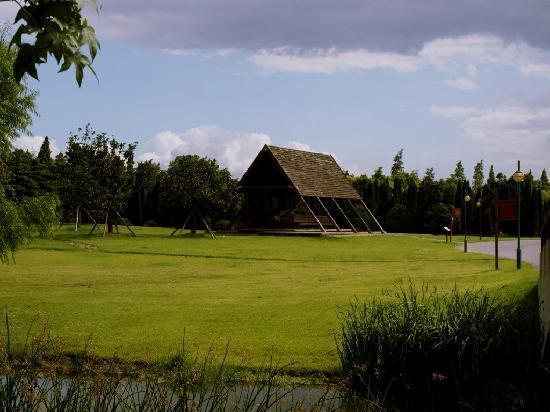 Pudong Gaoqiao Riverside Forest Park
